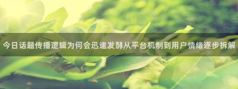 热点话题大全：今日话题传播逻辑为何会迅速发酵从平台机制到用户情绪逐步拆解