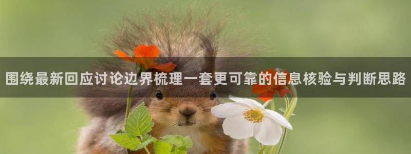 网络热点榜：围绕最新回应讨论边界梳理一套更可靠的信息核验与判断思路