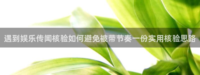黑料爆料话题大全：遇到娱乐传闻核验如何避免被带节奏一份实用核验思路