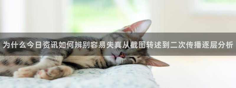 黑料爆料网络事件大全：为什么今日资讯如何辨别容易失真从截图转述到二次传播逐层分析