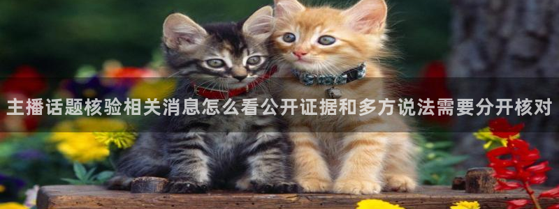 黑料最新话题：主播话题核验相关消息怎么看公开证据和多方说法需要分开核对