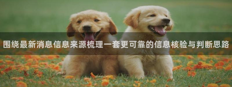事件爆料动态：围绕最新消息信息来源梳理一套更可靠的信息核验与判断思路