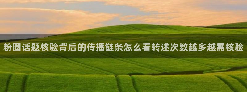 黑料今日资讯：粉圈话题核验背后的传播链条怎么看转述次数越多越需核验