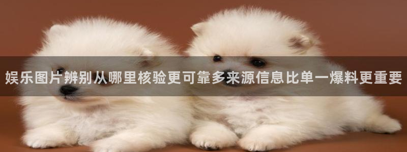 黑料新闻:娱乐图片辨别从哪里核验更可靠多来源信息比单一爆料更重要