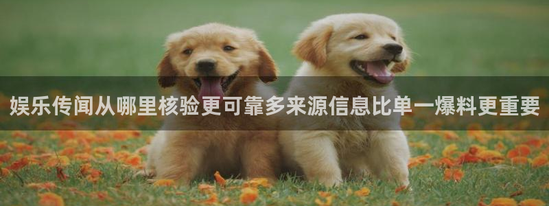 黑料事件新闻:娱乐传闻从哪里核验更可靠多来源信息比单一爆料更重要
