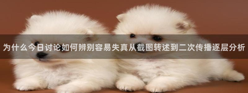 黑料爆料资讯榜:为什么今日讨论如何辨别容易失真从截图转述到二次传播逐层分析