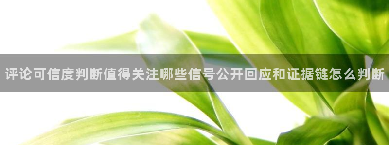 热门话题爆料:评论可信度判断值得关注哪些信号公开回应和证据链怎么判断