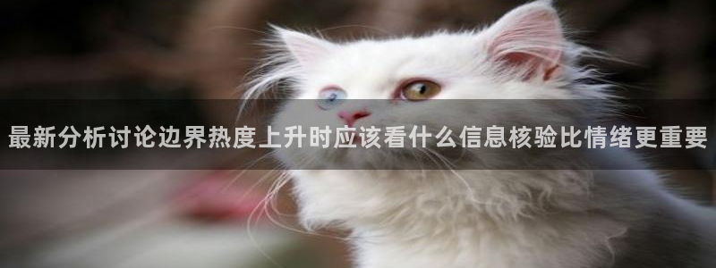 黑料网络事件:最新分析讨论边界热度上升时应该看什么信息核验比情绪更重要