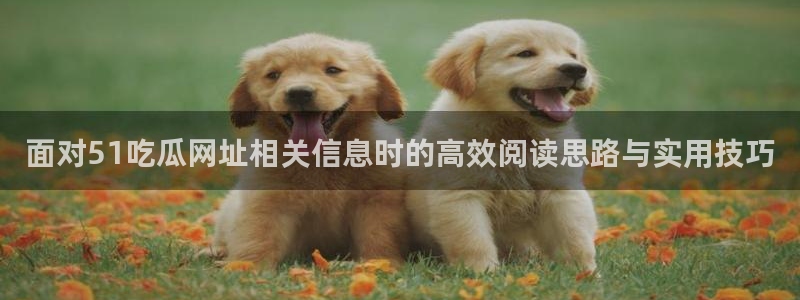 黑料今日资讯